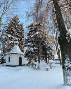 НОВОГОДНЯЯ ПРОГРАММА