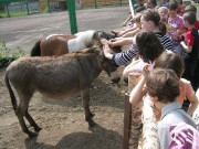 РАБОТА В ПРАЗДНИЧНЫЕ ДНИ