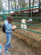 Экскурсии Экскурсии